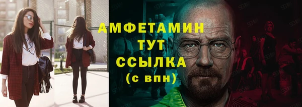 индика Бугульма