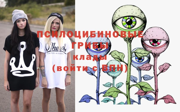 круглые Бронницы
