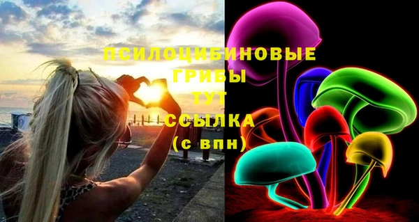 прущий лед Верея