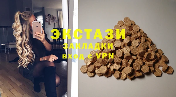 индика Бугульма