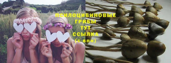 прущий лед Верея