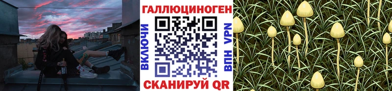 Галлюциногенные грибы мухоморы  Разумное 